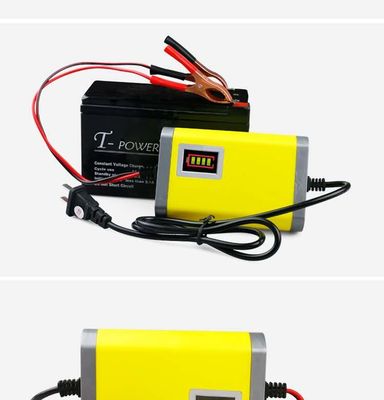 Caricatore del pacchetto della batteria di Smart 12v10a 24v5a 36v3a 48v2.5a Lifepo4