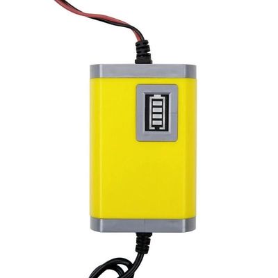 caricatore intelligente della batteria al piombo di 6v 12v EFB con l'indicatore del LED